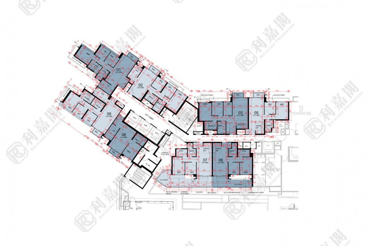 東環 1期 6A座 - 28NTS – 香港北部都會區
