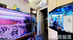 1776828113276ddf9b-7cb9-4836-90f8-8eeec3d41a26.jpeg 尚翠苑 A座 (翠湖閣) - 28NTS – 香港北部都會區