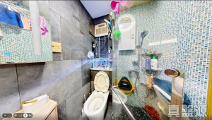 1776828115659c24ec-80be-4c23-961b-15ad73f5b4c4.jpeg 尚翠苑 A座 (翠湖閣) - 28NTS – 香港北部都會區