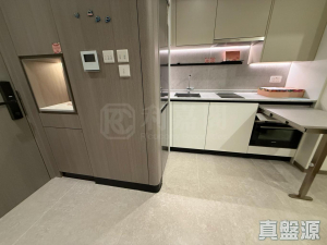 1776830126774f5288-9fb4-4796-8a30-3a91f6fd22d2.jpeg NOVO LAND 3A期 Dragor 2座 - 28NTS – 香港北部都會區