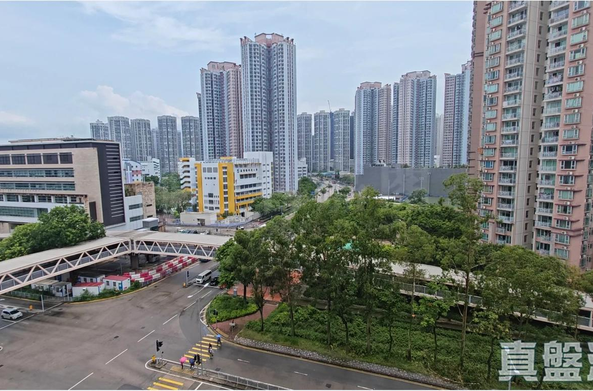 WETLAND SEASONS PARK 1期 6座 - 28NTS – 香港北部都會區