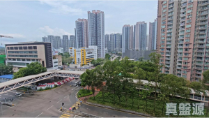 177683143953902b66-52fb-4957-8cde-64641cb6c397.jpeg WETLAND SEASONS PARK 1期 6座 - 28NTS – 香港北部都會區