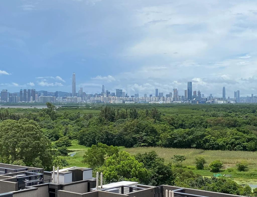 WETLAND SEASONS PARK 2期 19座 - 28NTS – 香港北部都會區