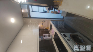 逸峯 2座 - 28NTS – 香港北部都會區