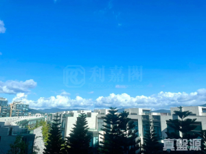 泓碧 3座 - 28NTS – 香港北部都會區