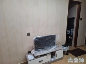 沙田中心 嘉寧大廈 (F座) - 28NTS – 香港北部都會區