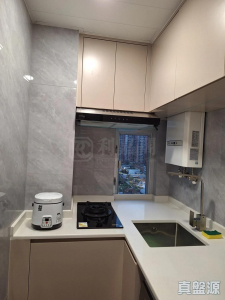 沙田中心 嘉寧大廈 (F座) - 28NTS – 香港北部都會區
