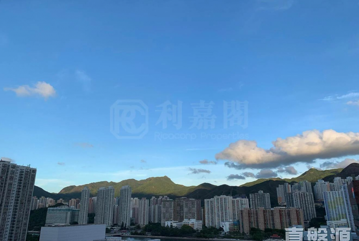 偉華中心 4座 - 28NTS – 香港北部都會區
