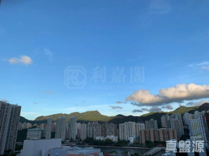 177684283297de7251-7abb-41be-988a-f0232af7a774.jpeg 偉華中心 4座 - 28NTS – 香港北部都會區
