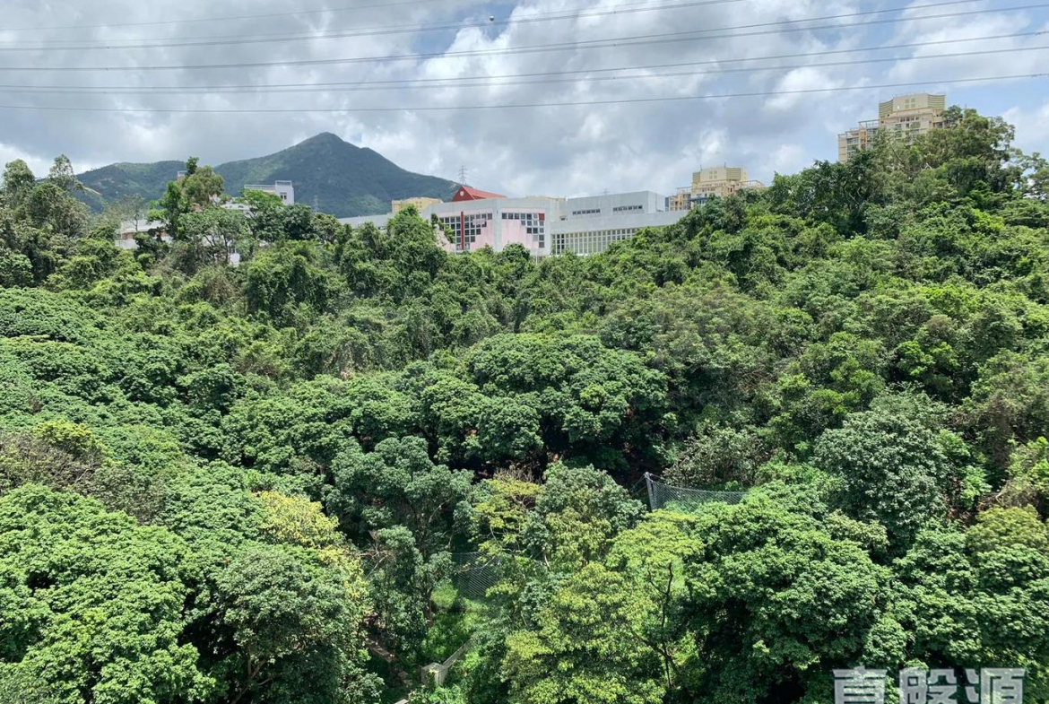 薈蕎 2翼 - 28NTS – 香港北部都會區