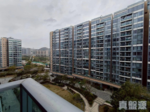 1776854779b98e5bd7-18c6-49f1-a497-088fa33069b9.jpeg 峻巒 2A期 PARK YOHO GENOVA 12座 - 28NTS – 香港北部都會區