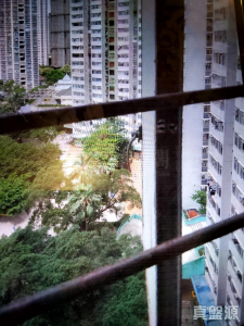 富善邨 善翠樓 (4座) - 28NTS – 香港北部都會區