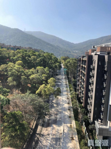 天鑽 10座 - 28NTS – 香港北部都會區