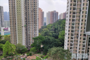 1776858647da1f98ef-c737-481f-8678-056c4cf53fa1.jpeg 美松苑 樂松閣 (F座) - 28NTS – 香港北部都會區