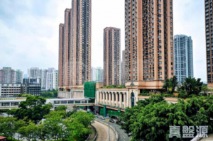 新港城 2期 C座 - 28NTS – 香港北部都會區