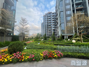 1777113061ef64c477-52da-475a-8ab0-4e66c36e0cd9.jpeg SILICON HILL 1期 翠景閣 第2座 - 28NTS – 香港北部都會區