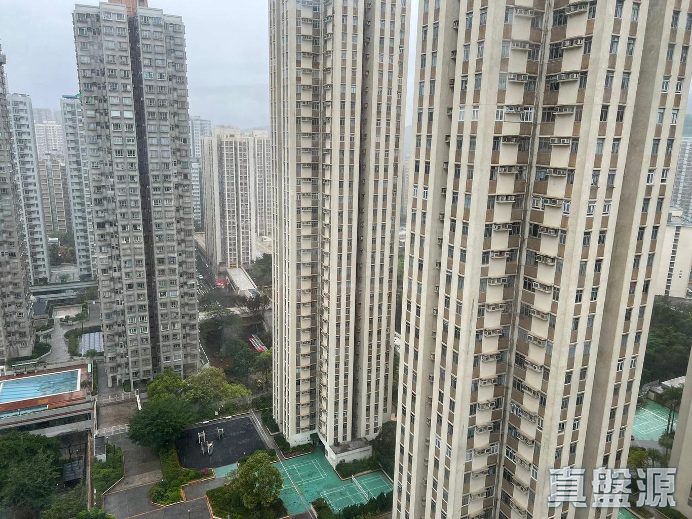 17771226509c7cb3d4-0e04-4db2-ad3e-0e107eeebc26.jpeg