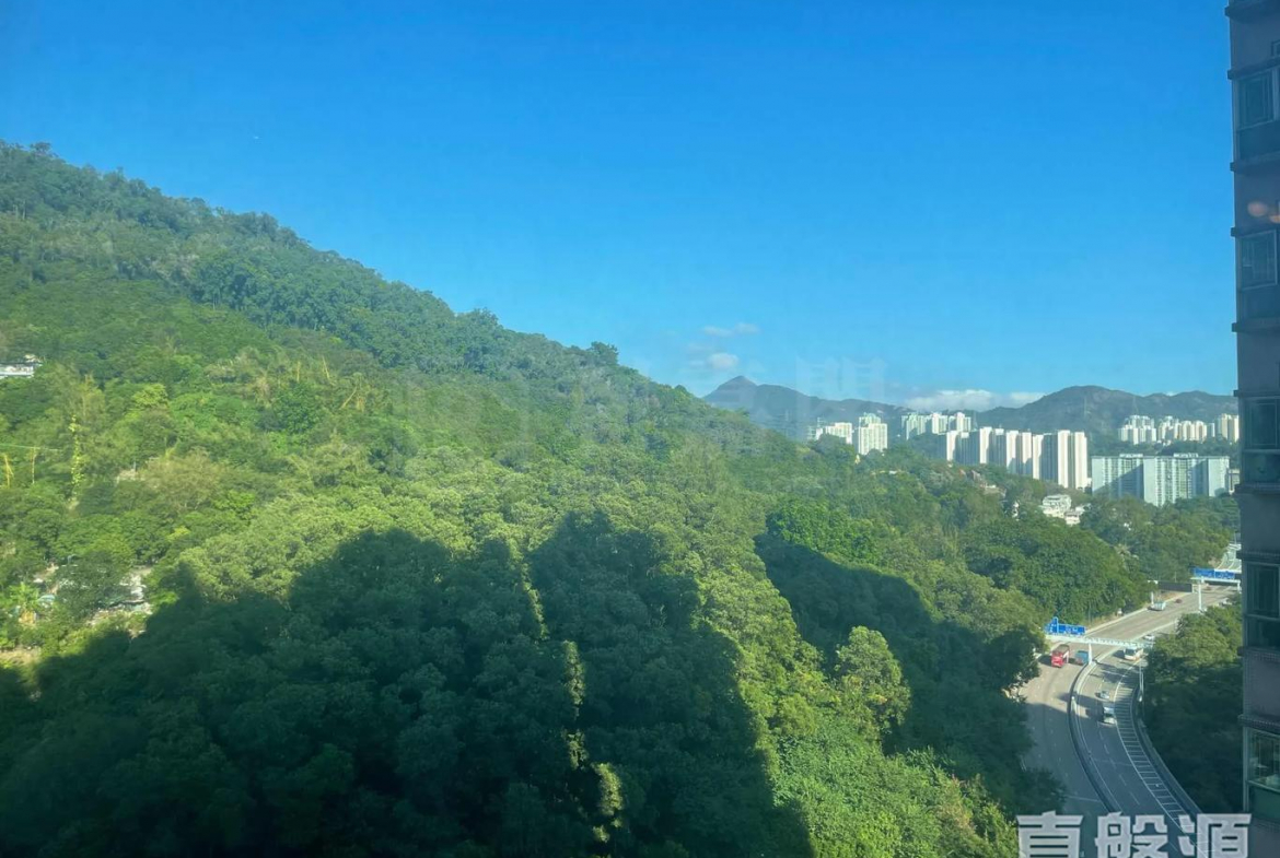 愉景新城 2期 6座 - 28NTS – 香港北部都會區