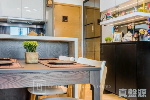 東環 1期 6B座 - 28NTS – 香港北部都會區