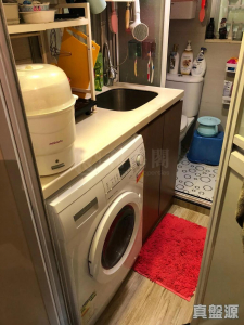 天麗苑 - 28NTS – 香港北部都會區