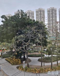 177745378161f11ecc-214d-4772-9060-9545344a889e.jpeg 嘉湖山莊 5期 麗湖居 3座 - 28NTS – 香港北部都會區