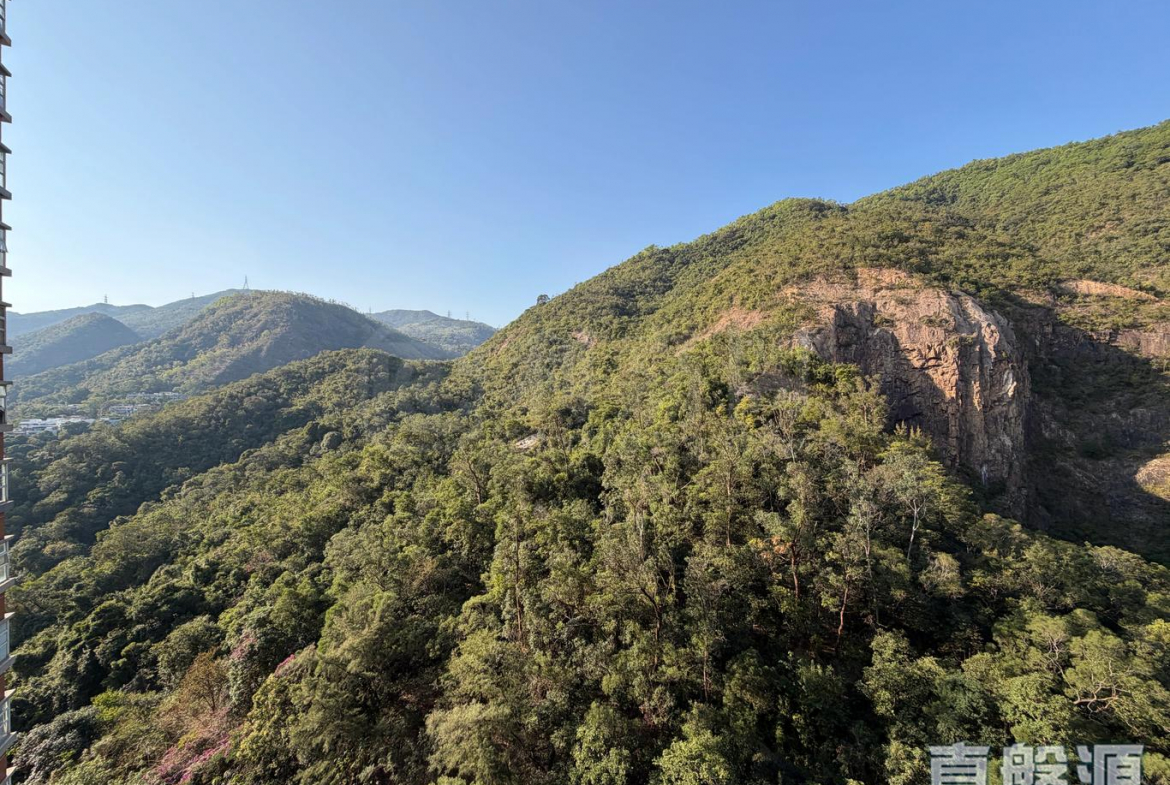 晉名峰 B座 - 28NTS – 香港北部都會區