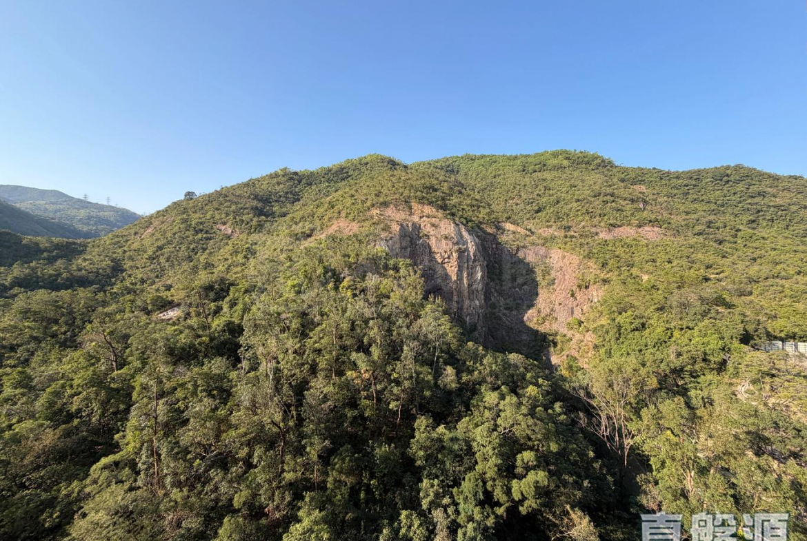 晉名峰 B座 - 28NTS – 香港北部都會區