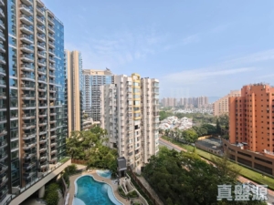 黃金海灣 2期 珀岸 1座 (1B) - 28NTS – 香港北部都會區