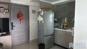 好順景大廈 1座 (A座) - 28NTS – 香港北部都會區