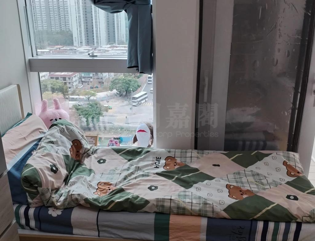雨後 - 28NTS – 香港北部都會區