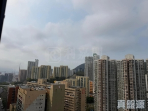 海欣花園 2座 - 28NTS – 香港北部都會區