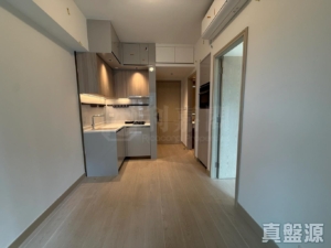 黃金海灣 2期 珀岸 1座 (1A) - 28NTS – 香港北部都會區