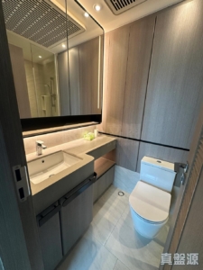 NOVO LAND 1B期 Bergen 3座 - 28NTS – 香港北部都會區