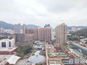 沙田中心 嘉寧大廈 (F座) - 28NTS – 香港北部都會區