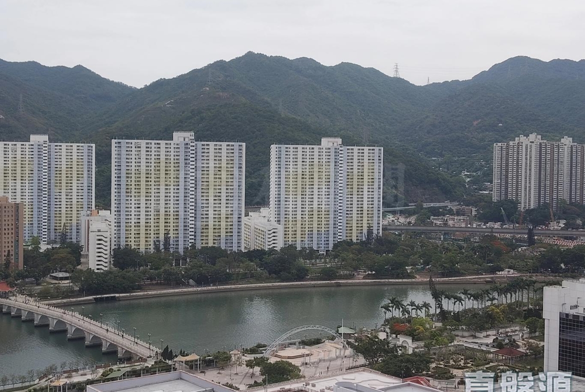 沙田中心 嘉寧大廈 (F座) - 28NTS – 香港北部都會區