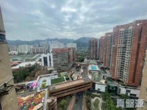 17792200446d3568fc-9391-485d-8e65-a19ca24c40f5.jpeg 偉華中心 4座 - 28NTS – 香港北部都會區