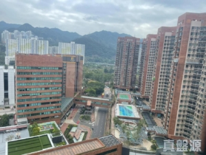 17792200520b1b1c5a-50b8-4828-b863-0d60ad04f02e.jpeg 偉華中心 4座 - 28NTS – 香港北部都會區