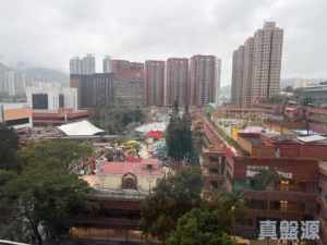 沙田中心 嘉寧大廈 (F座) - 28NTS – 香港北部都會區