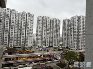 沙田中心 嘉寧大廈 (F座) - 28NTS – 香港北部都會區