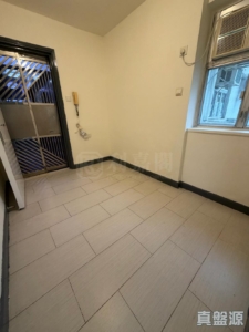 沙田中心 嘉寧大廈 (F座) - 28NTS – 香港北部都會區
