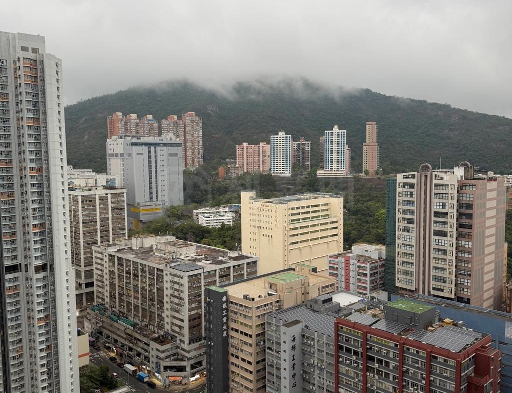 星凱．堤岸 2座 - 28NTS – 香港北部都會區