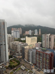 星凱．堤岸 2座 - 28NTS – 香港北部都會區