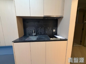 星凱．堤岸 2座 - 28NTS – 香港北部都會區
