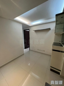 希爾頓中心 C座 - 28NTS – 香港北部都會區