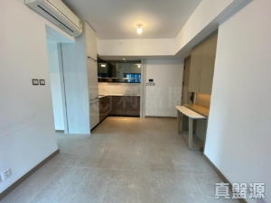 雲滙 1期 3座 - 28NTS – 香港北部都會區