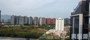 1779223827851fd5ce-ea41-4cf7-8978-66abe5bc99e5.jpeg SILICON HILL 1期 翠景閣 第3座 - 28NTS – 香港北部都會區