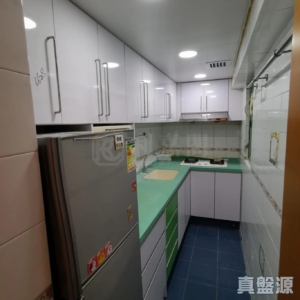 菁泉雅居 B座 - 28NTS – 香港北部都會區