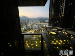 柏傲莊 1期 3座 (3A) - 28NTS – 香港北部都會區