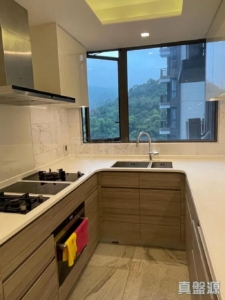 玖瓏山 傲瓏閣 第2座 - 28NTS – 香港北部都會區