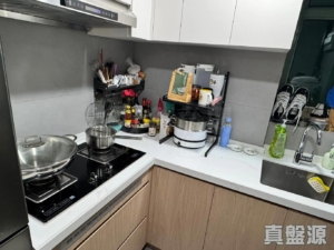 帝庭軒 御庭軒 7座 - 28NTS – 香港北部都會區